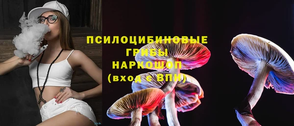 эйфоретик Алексеевка